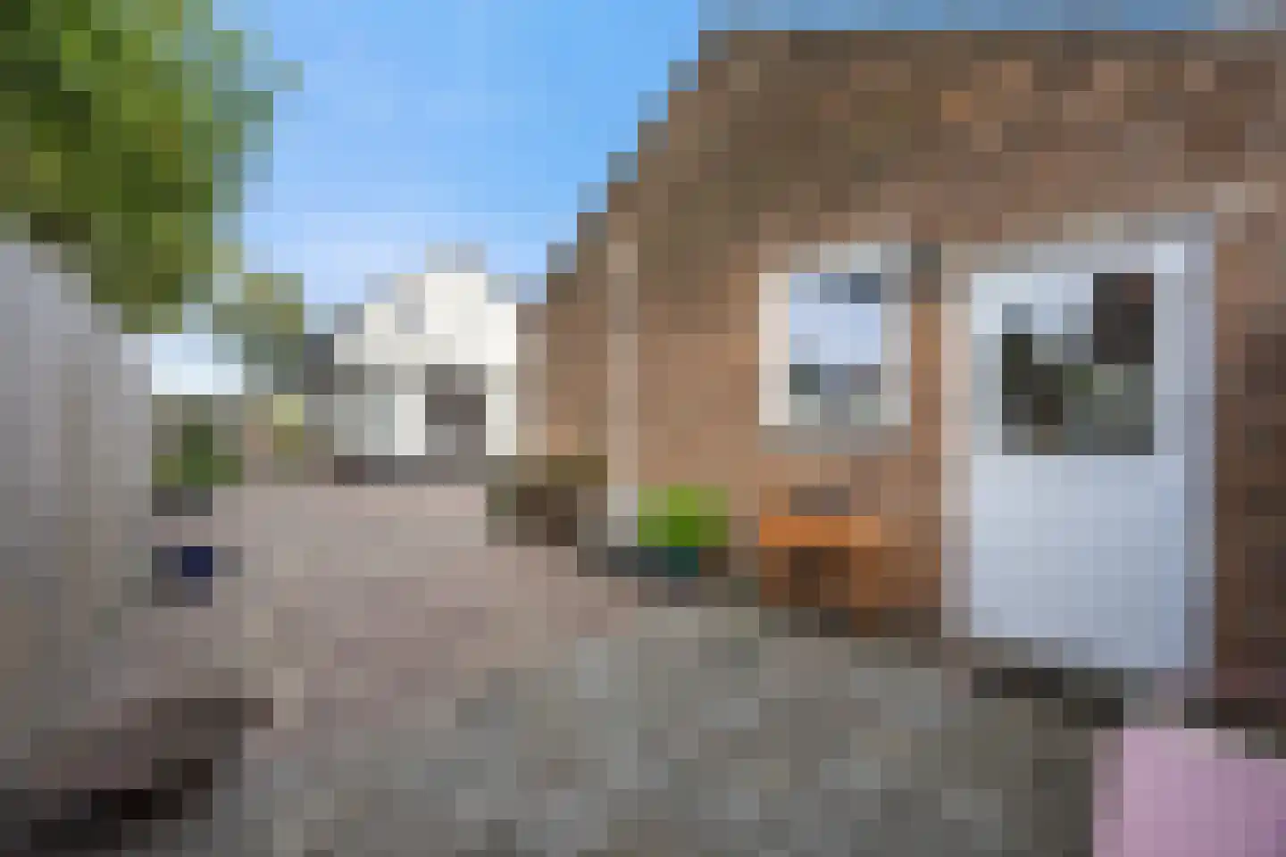 Onsenoortsestraat 21 Nieuwkuijk thumbnail 39