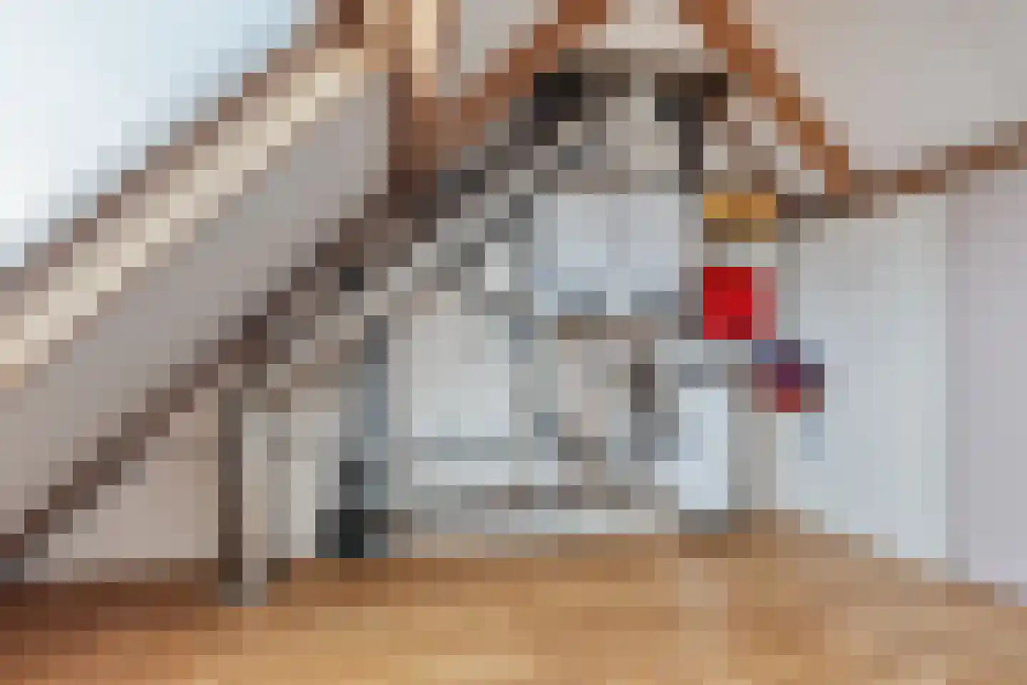 Onstahof 1 Assen thumbnail 23