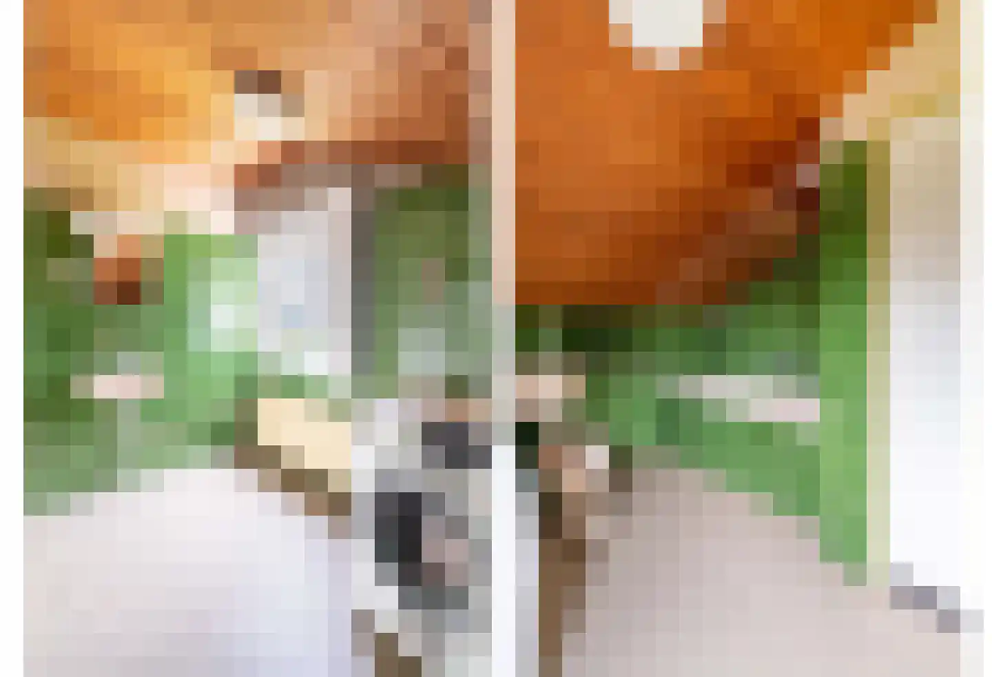 Onstein 1 Ugchelen thumbnail 25