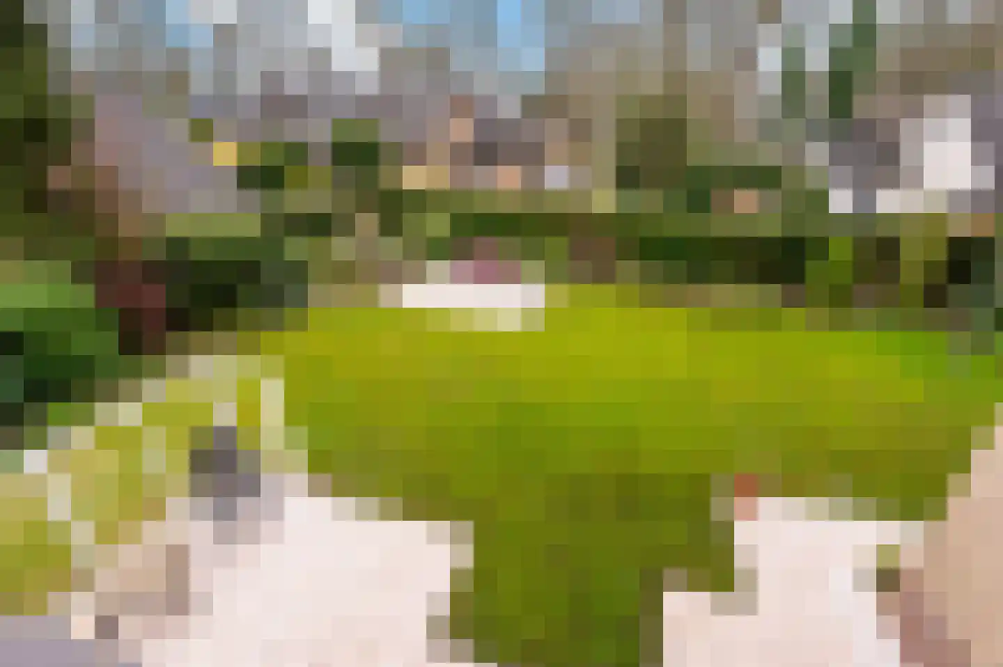 Onstein 1 Ugchelen thumbnail 27