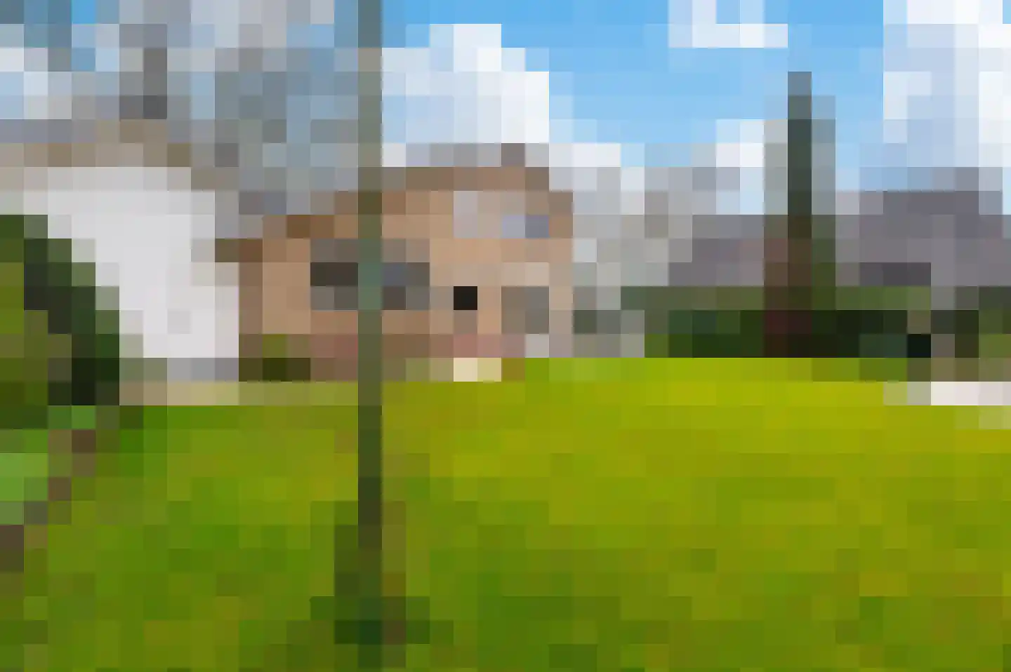 Onstein 1 Ugchelen thumbnail 37