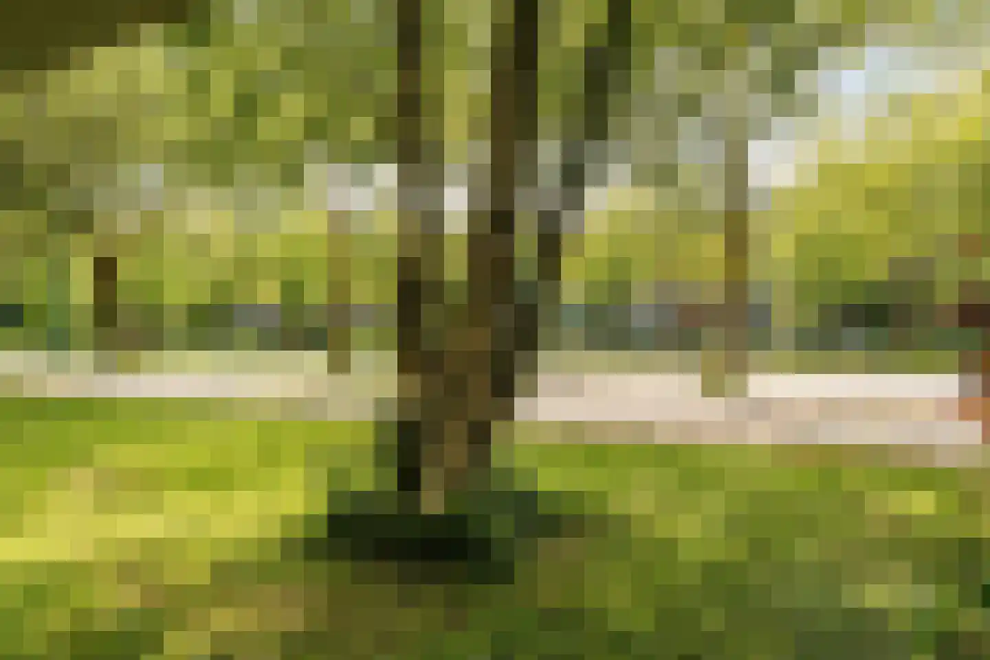 Onstein 12 Amsterdam thumbnail 26