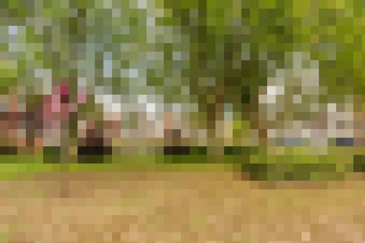 Onstein 12 Amsterdam thumbnail 28