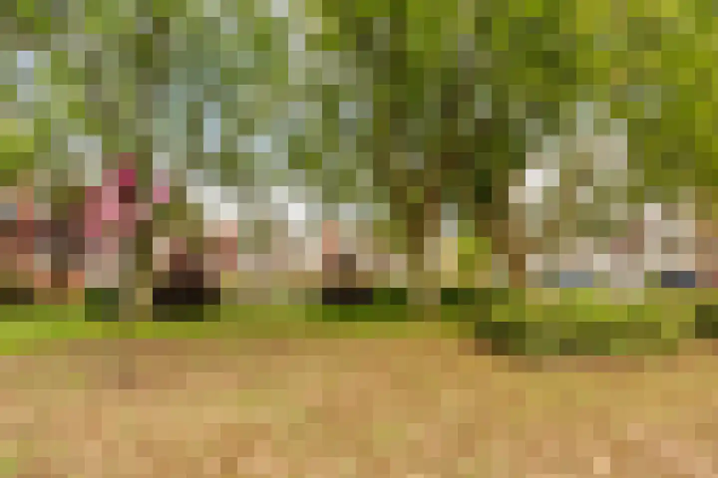 Onstein 12 Amsterdam thumbnail 28