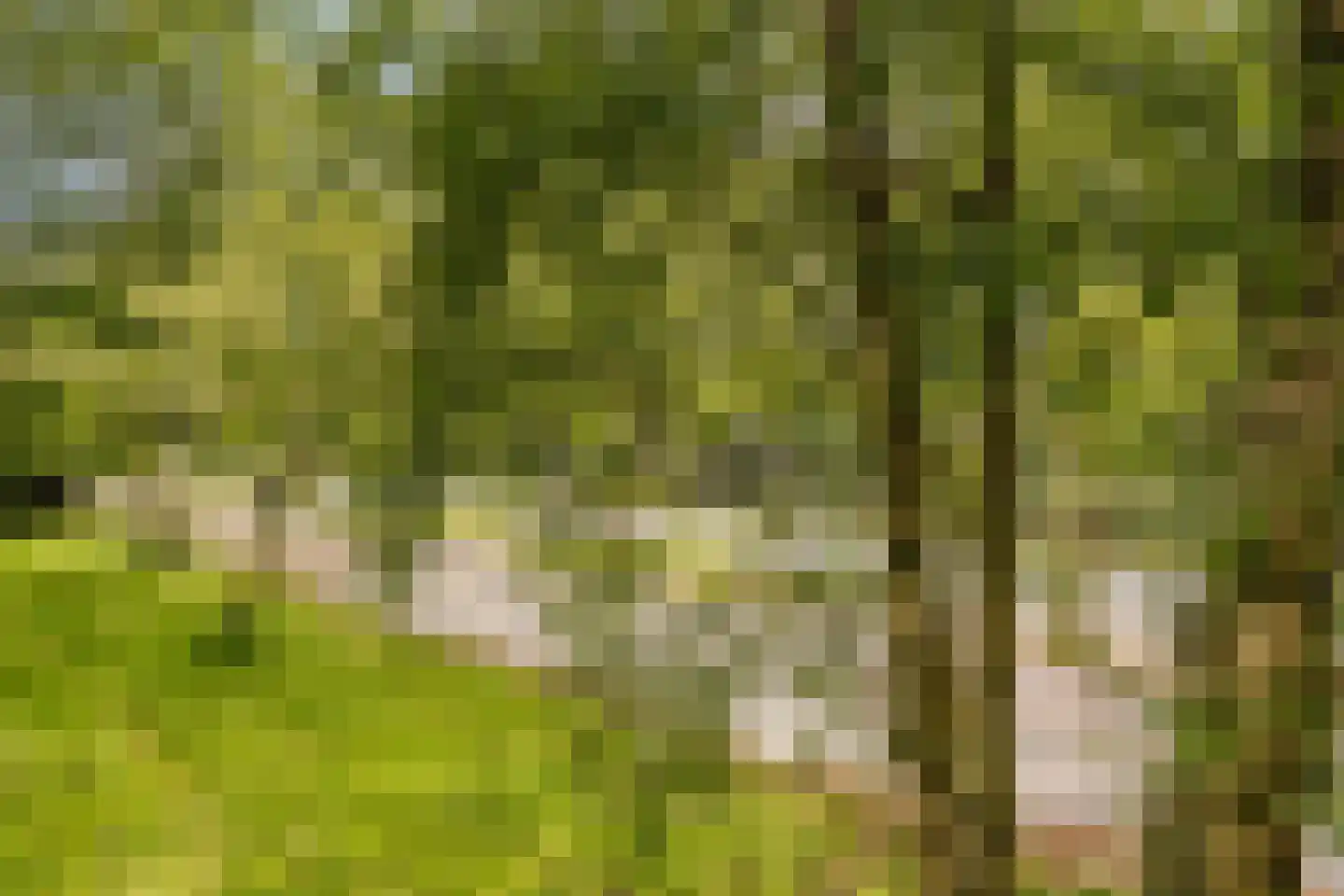 Onstein 12 Amsterdam thumbnail 5