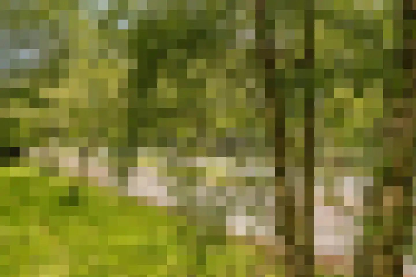 Onstein 12 Amsterdam thumbnail 5