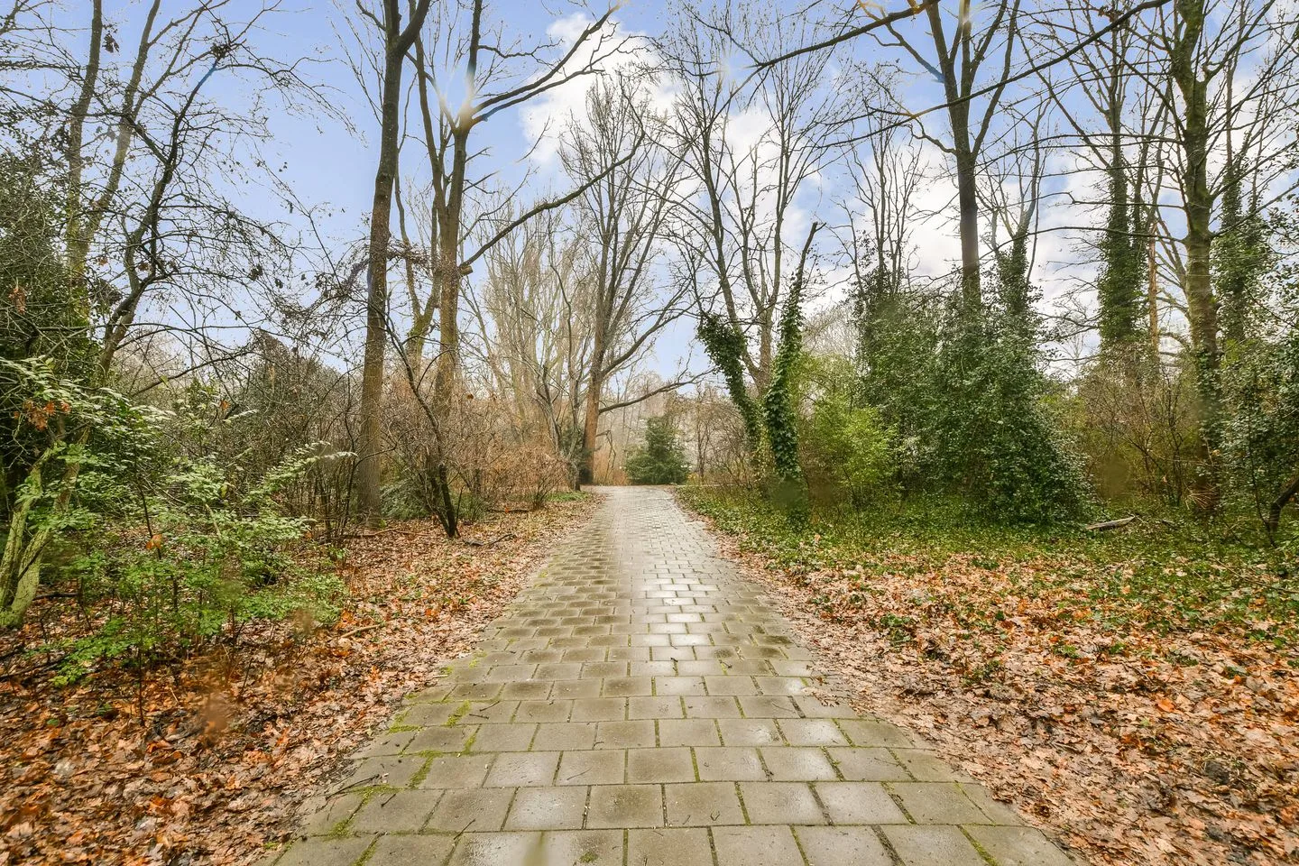 Onstein 134 Amsterdam thumbnail 23