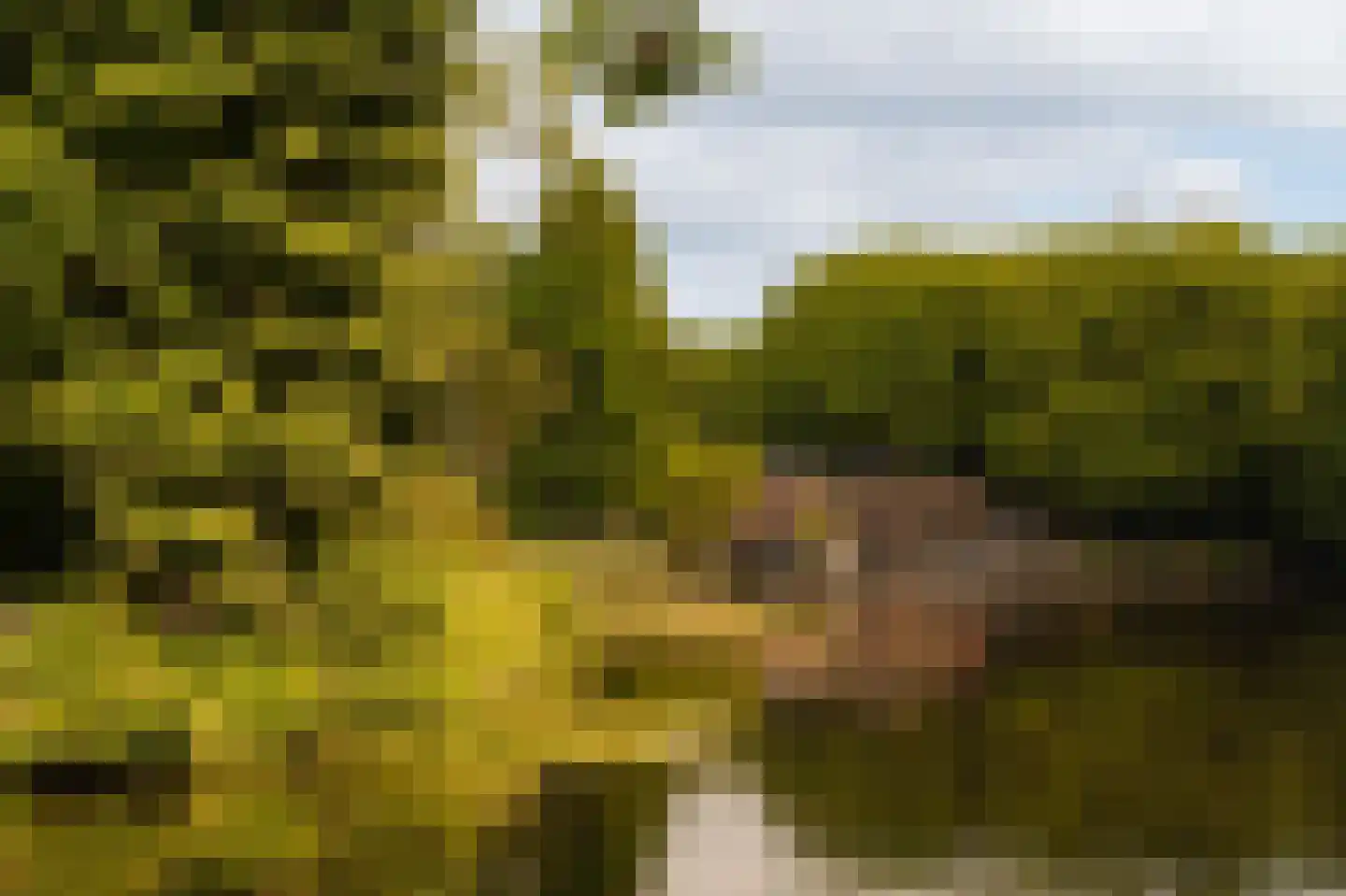 Onstein 142 Amsterdam thumbnail 38