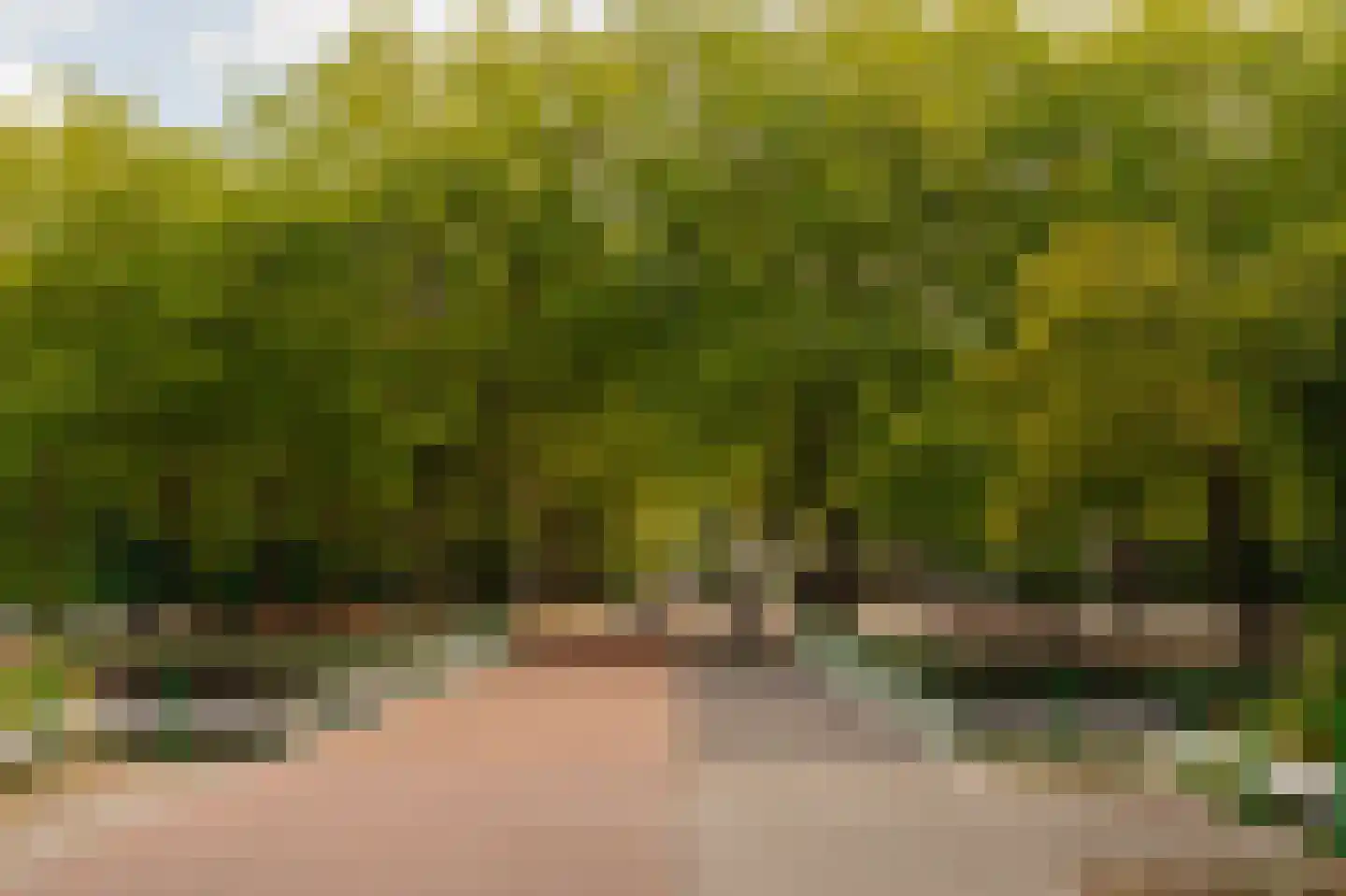 Onstein 142 Amsterdam thumbnail 40
