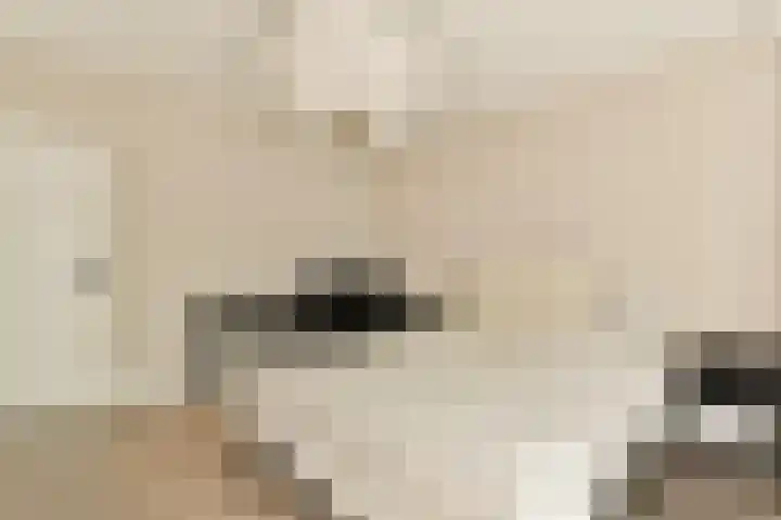 Onstein 178 Amsterdam thumbnail 17