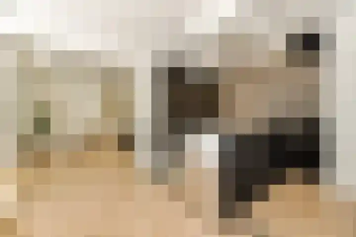 Onstein 178 Amsterdam foto 2