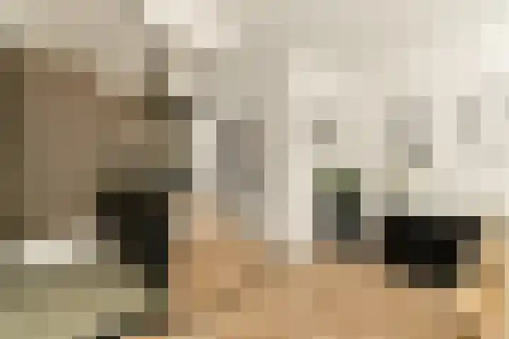 Onstein 178 Amsterdam thumbnail 9