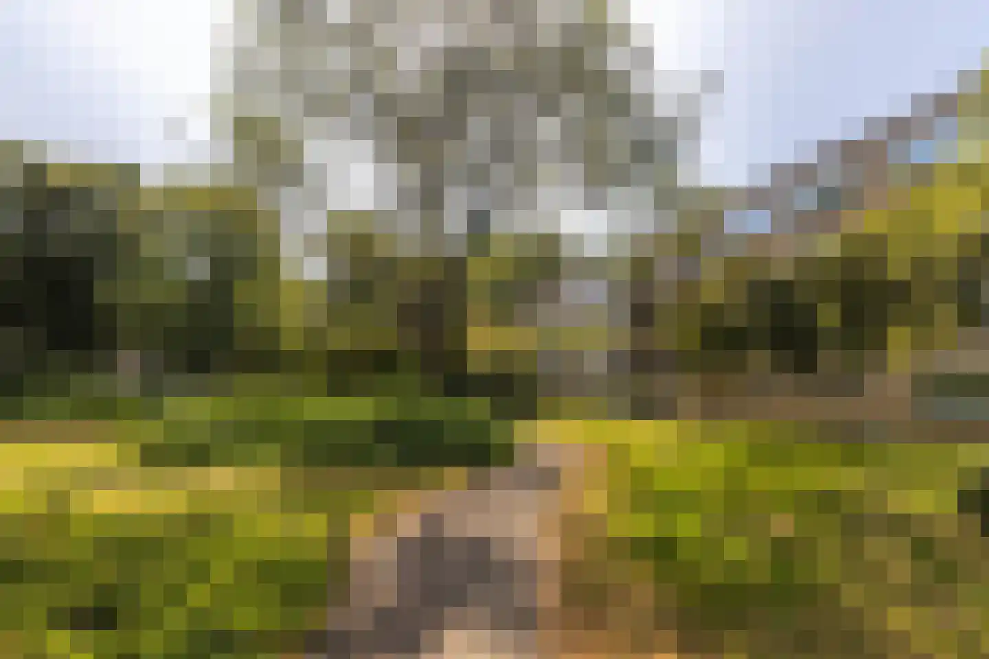 Onstein 19 Amsterdam thumbnail 32