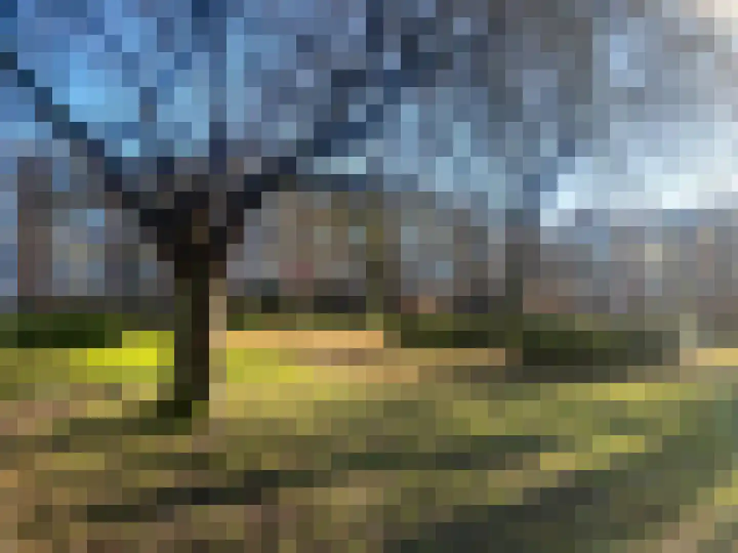 Onstein 6 Amsterdam thumbnail 6