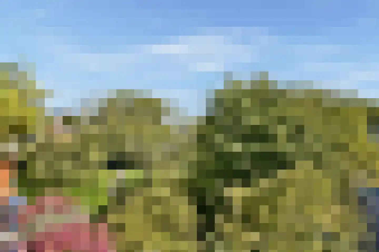 Onstein 69 Amsterdam thumbnail 11