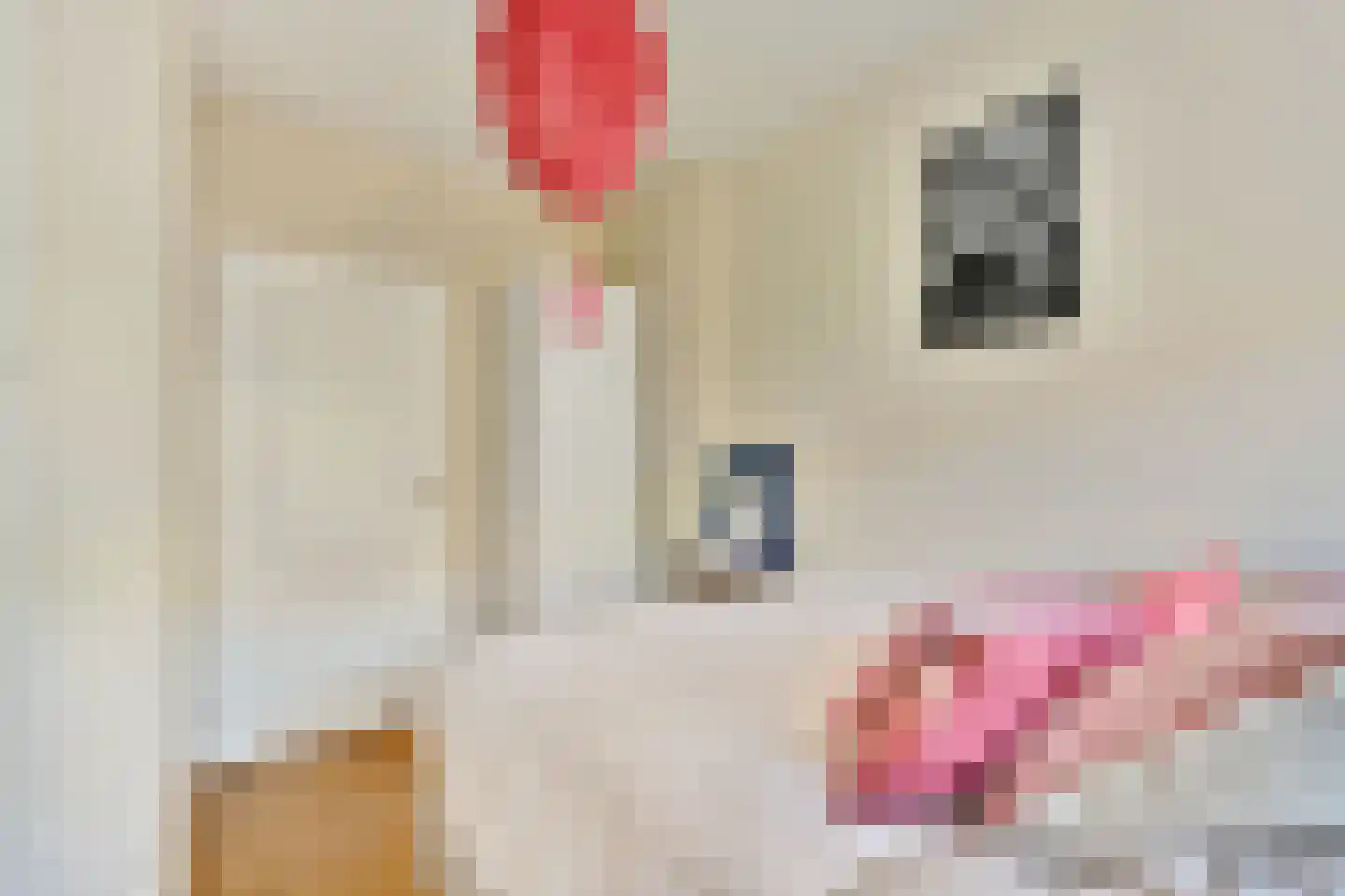 Onstein 69 Amsterdam thumbnail 21