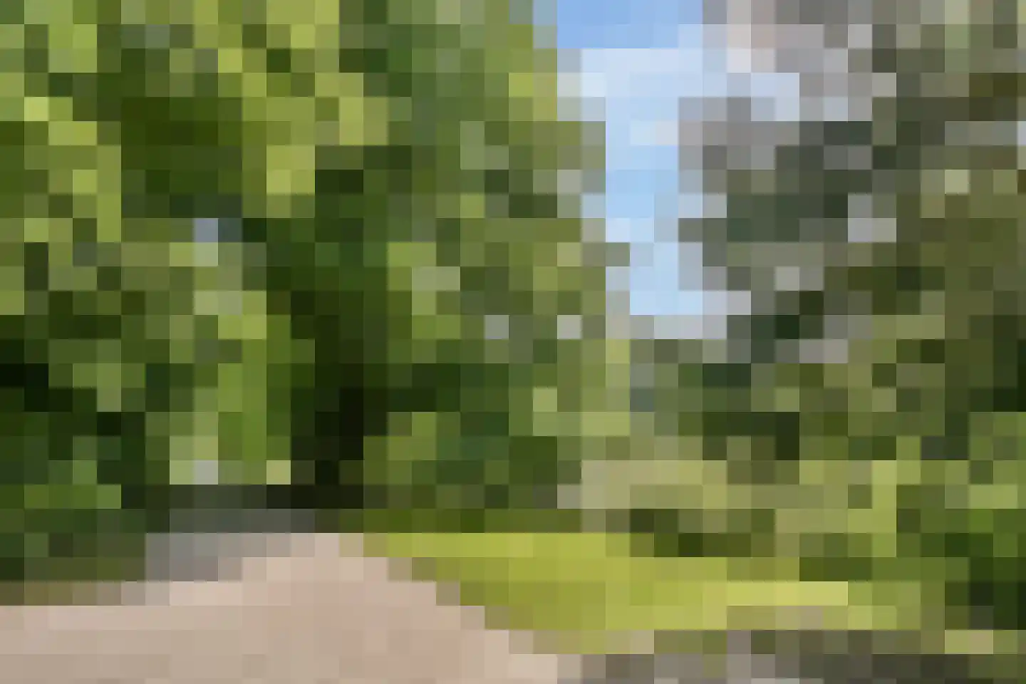 Onstein 69 Amsterdam thumbnail 25