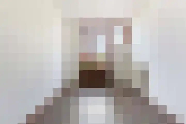 Onstein 8 Doetinchem thumbnail 25