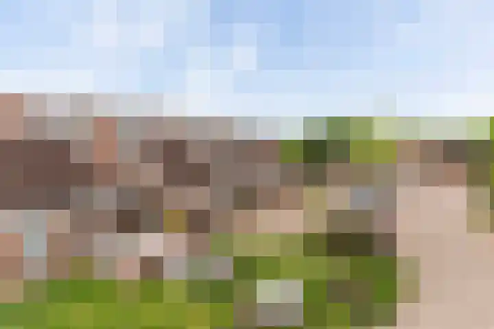 Onstein 8 Doetinchem thumbnail 35