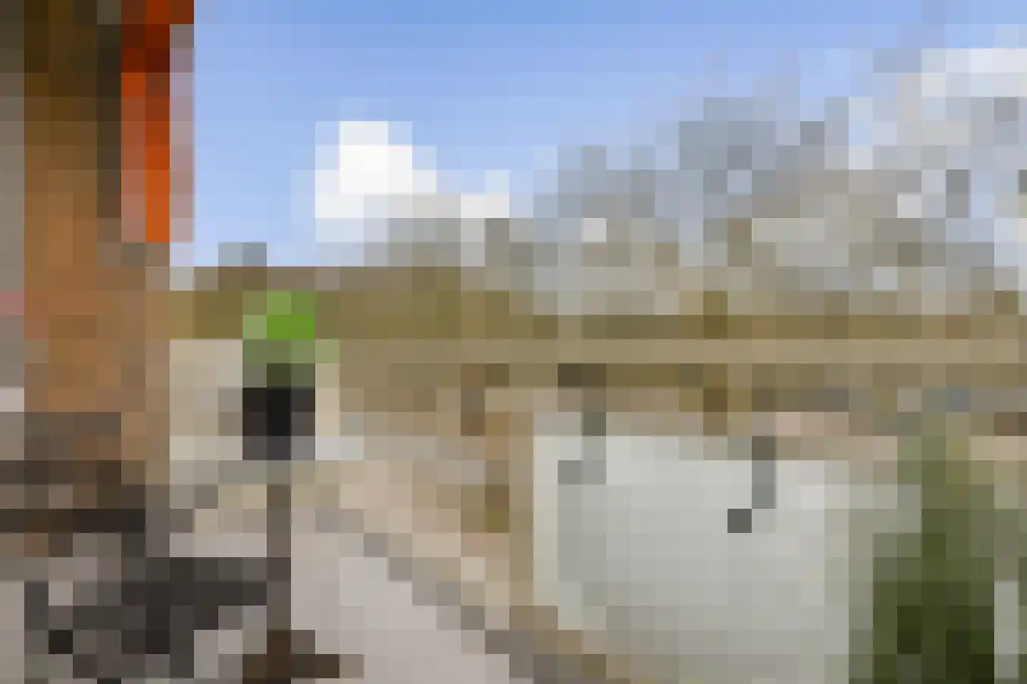 Onstein 82 Amsterdam foto 2