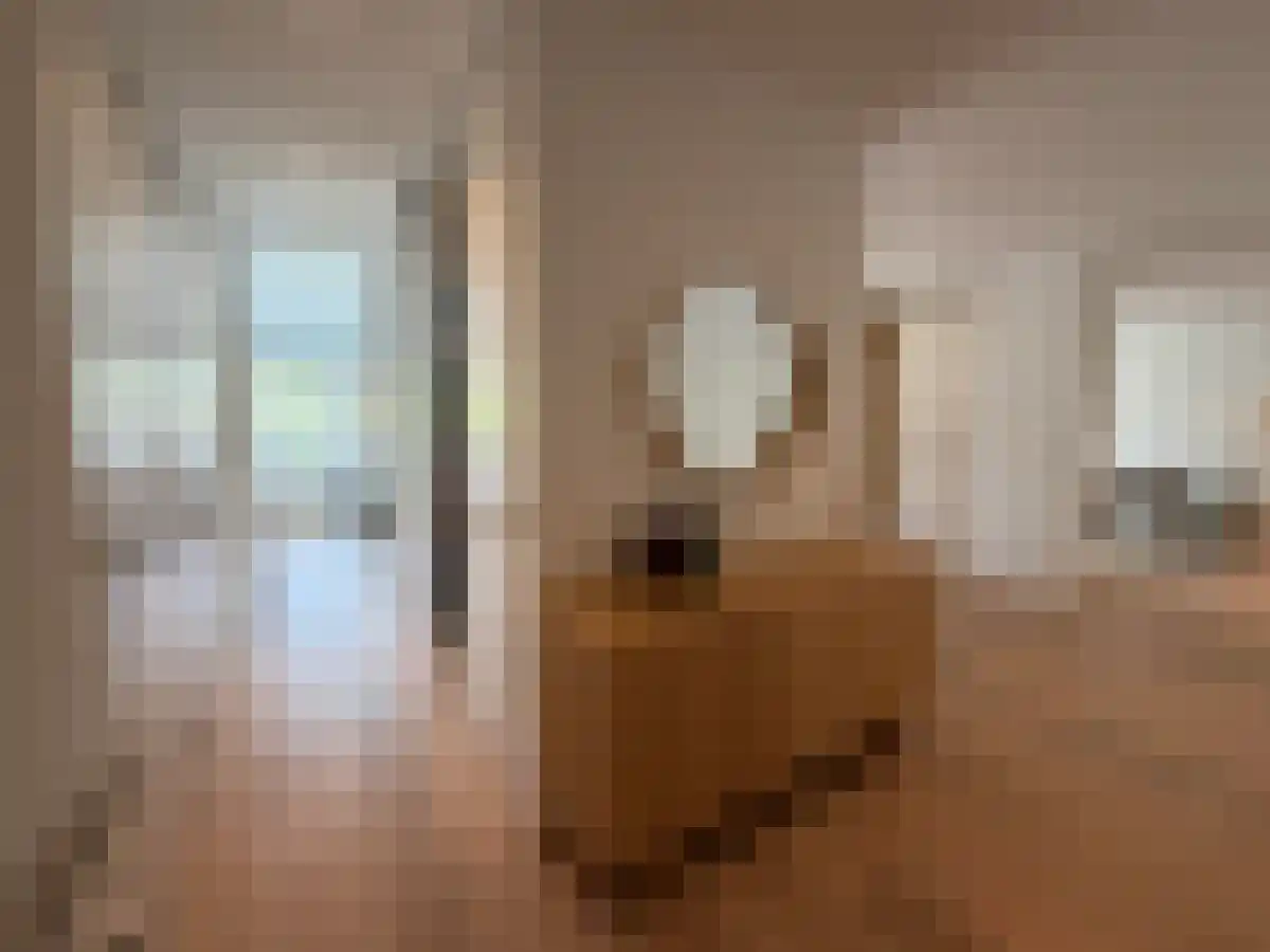 Onstein 9 Amsterdam thumbnail 6