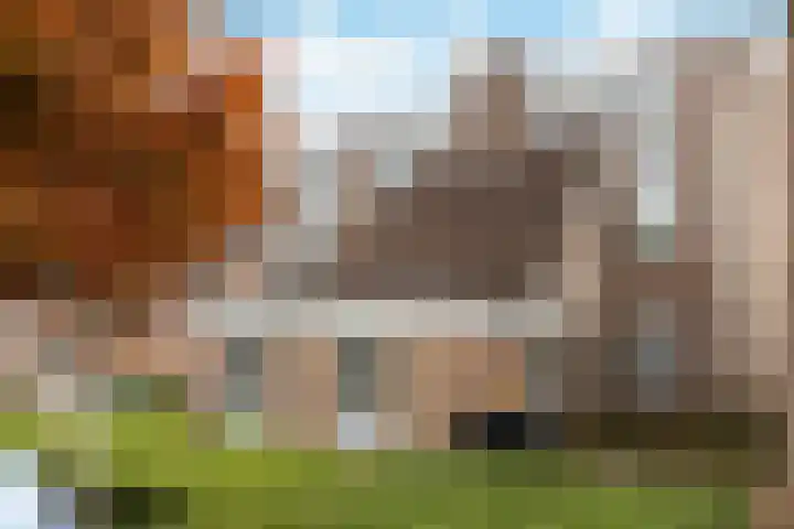 Onstein 96 Doetinchem thumbnail 4