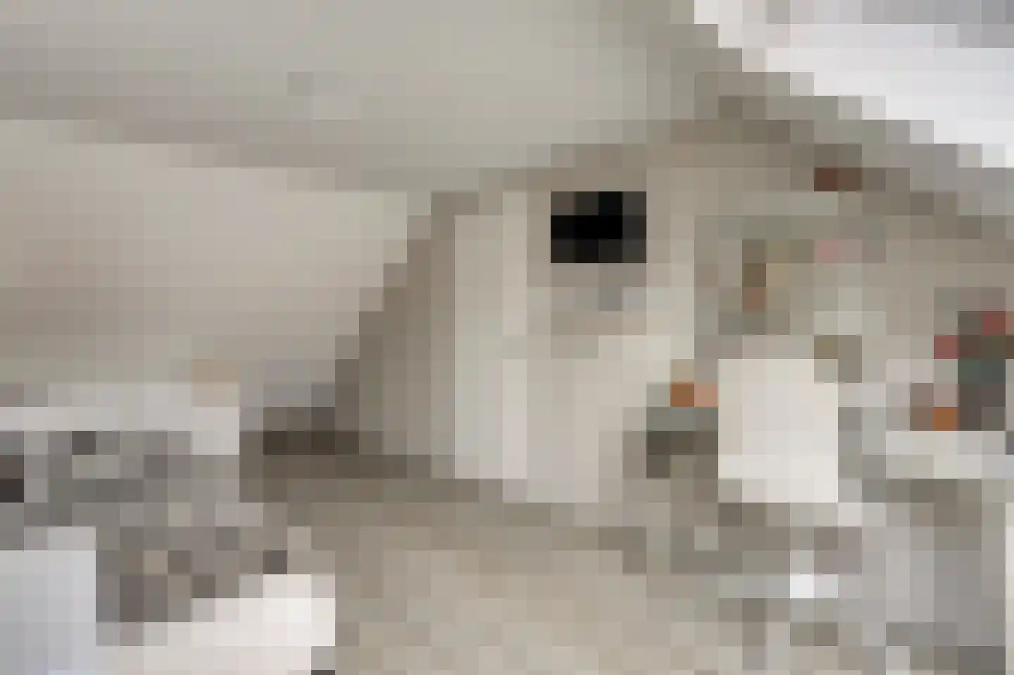 Onsteinpad 3 Rotterdam thumbnail 25