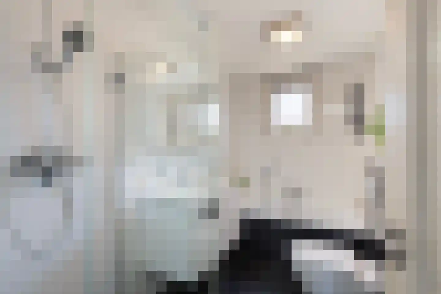 Onsteinpad 6 Rotterdam thumbnail 19
