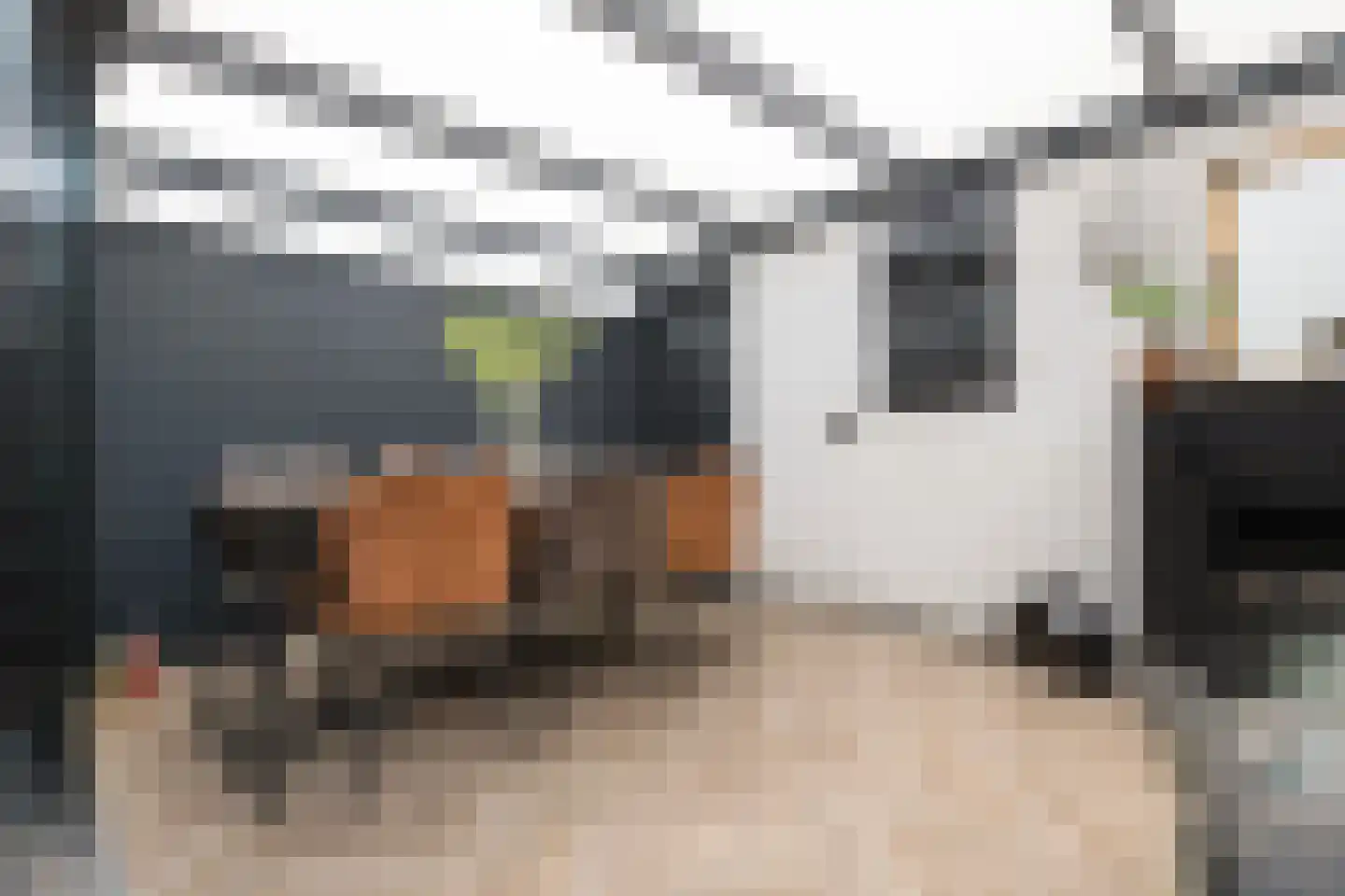 Onsteinpad 6 Rotterdam thumbnail 23