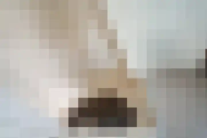 Onsteinstraat 17 Arnhem thumbnail 16