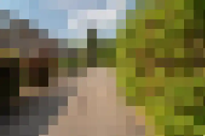 Onsteinstraat 17 Arnhem thumbnail 28