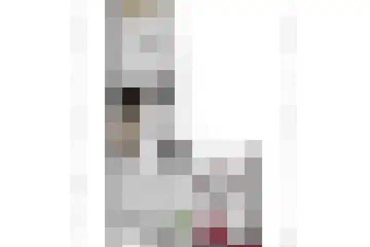 Onsteinstraat 17 Arnhem thumbnail 30