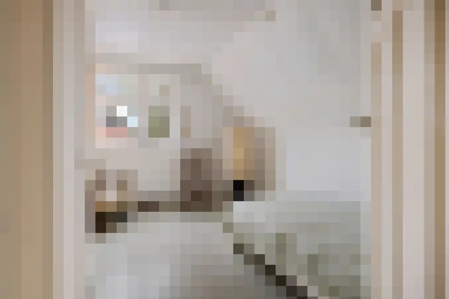 Onstwedderweg 10 Vlagtwedde thumbnail 27