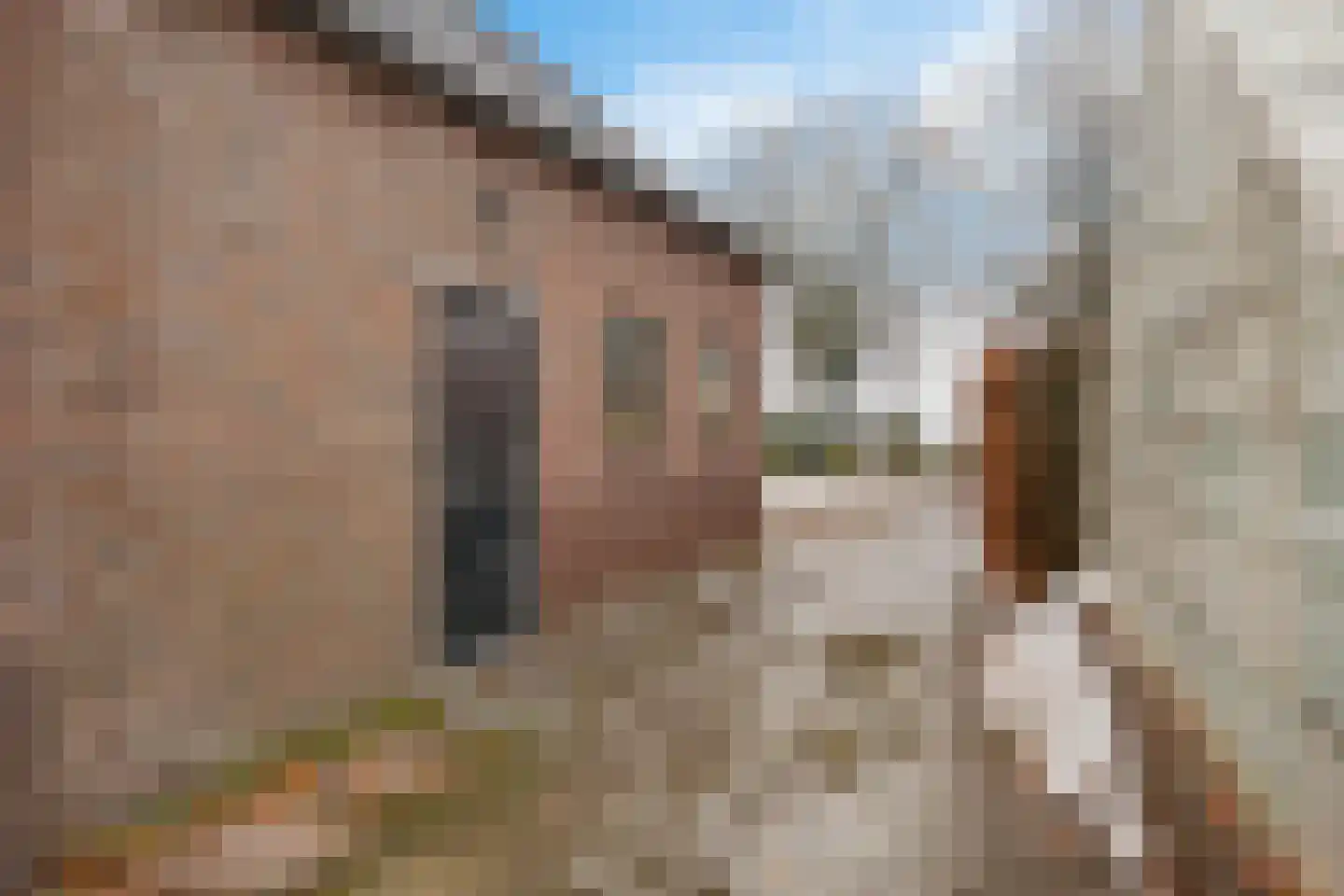 Onstwedderweg 10 Vlagtwedde thumbnail 34