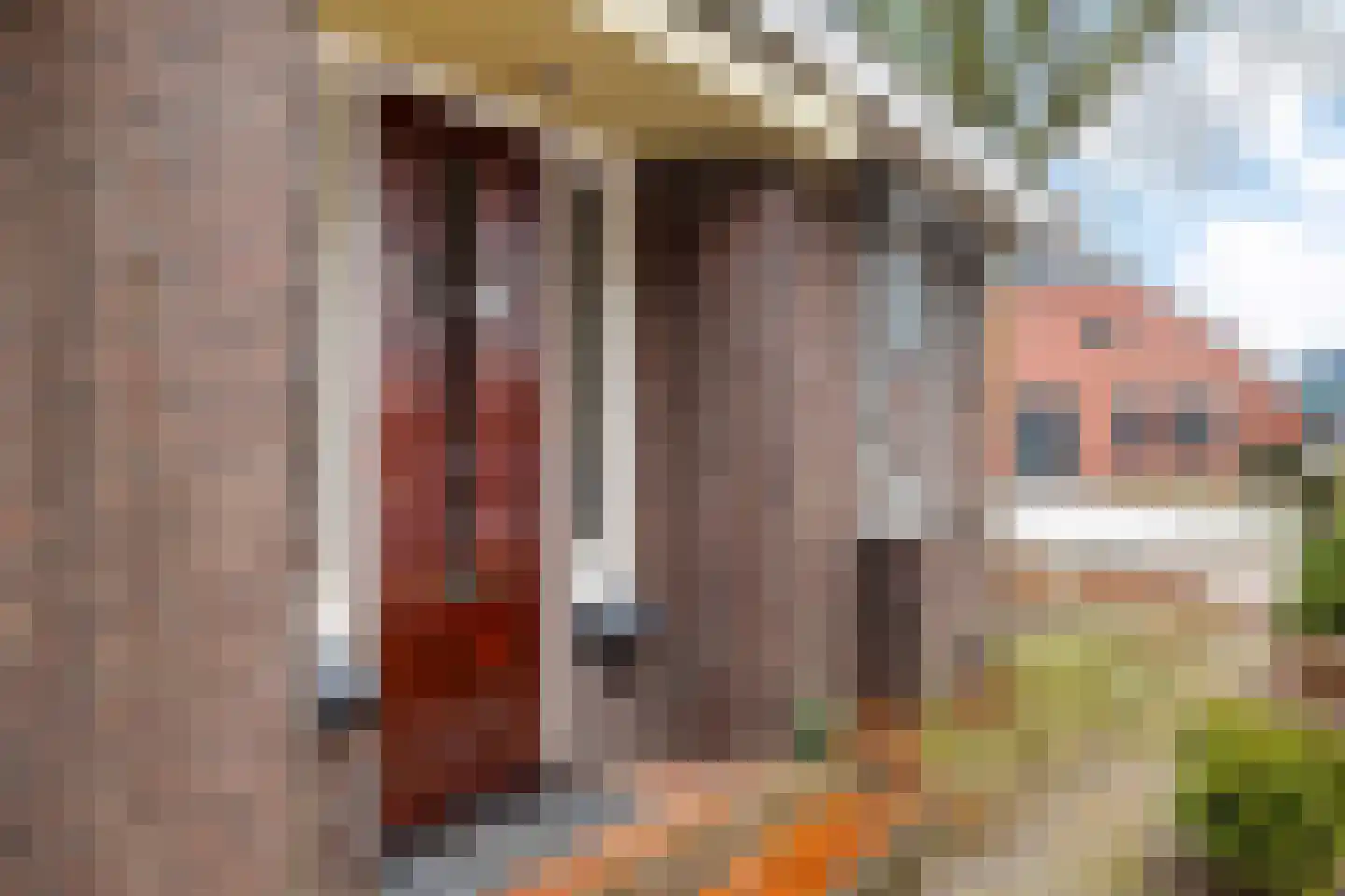 Onstwedderweg 10 Vlagtwedde thumbnail 6