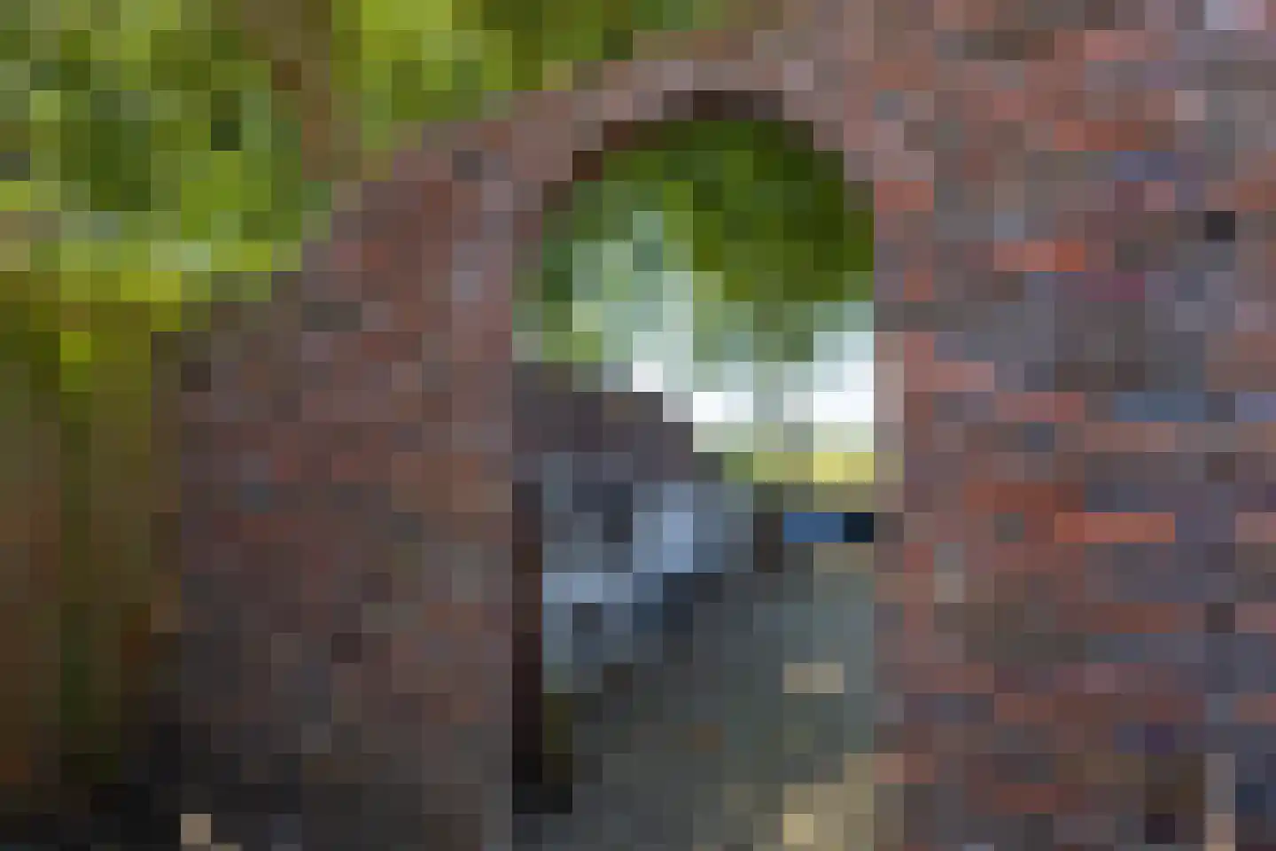 Onstwedderweg 68 Vlagtwedde thumbnail 11