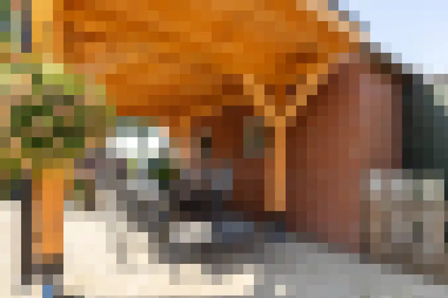 Onstwedderweg 68 Vlagtwedde thumbnail 12