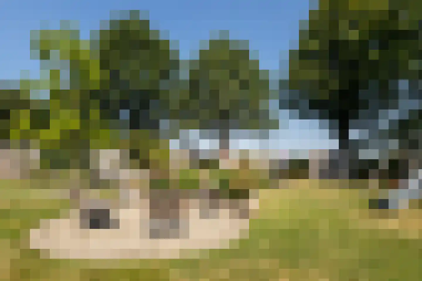 Onstwedderweg 68 Vlagtwedde thumbnail 15