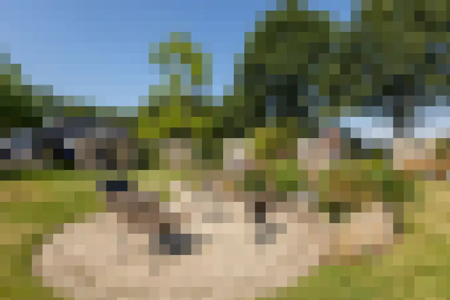 Onstwedderweg 68 Vlagtwedde thumbnail 16