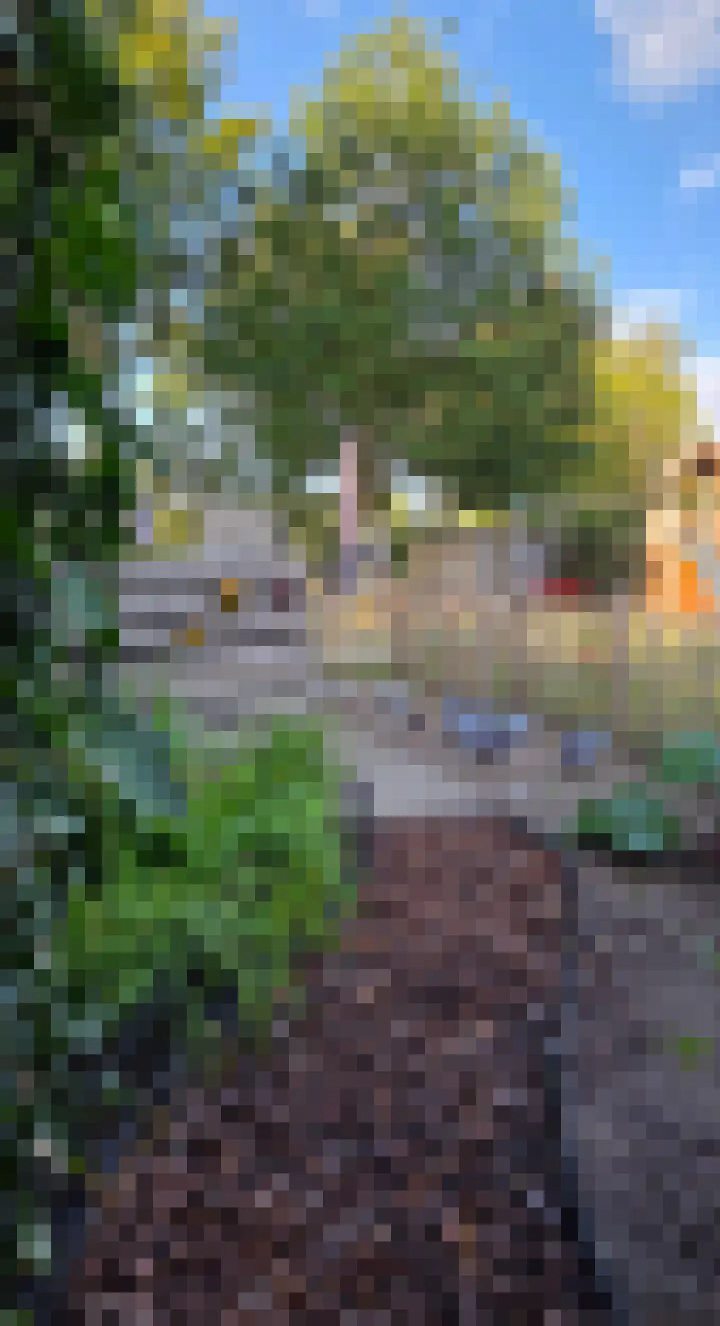 Onstwedderweg 68 Vlagtwedde thumbnail 19