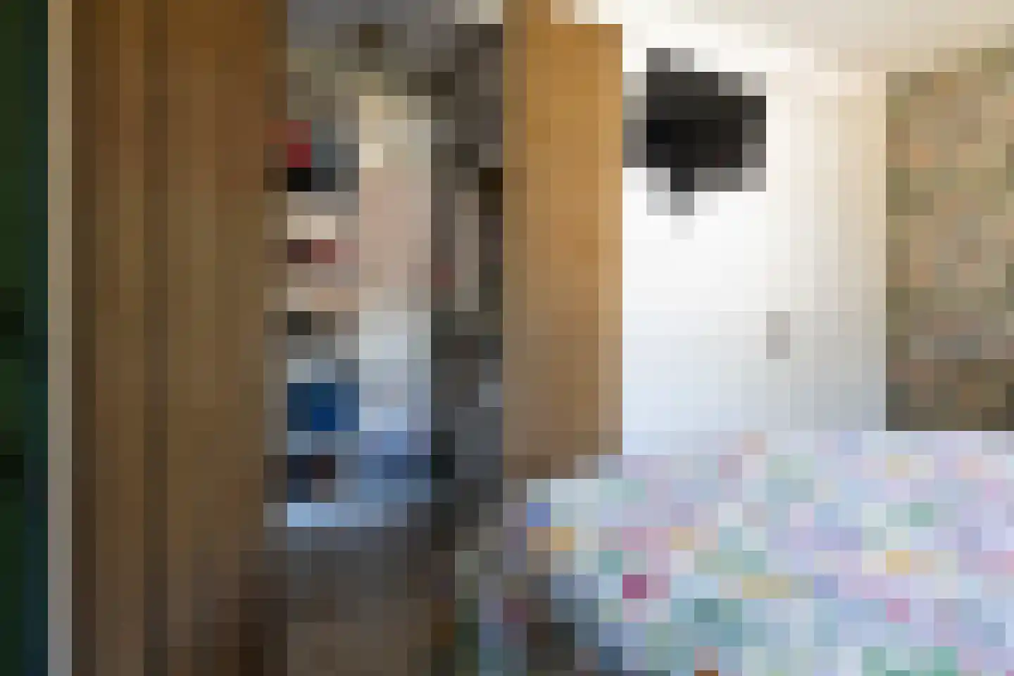 Onstwedderweg 68 Vlagtwedde thumbnail 39