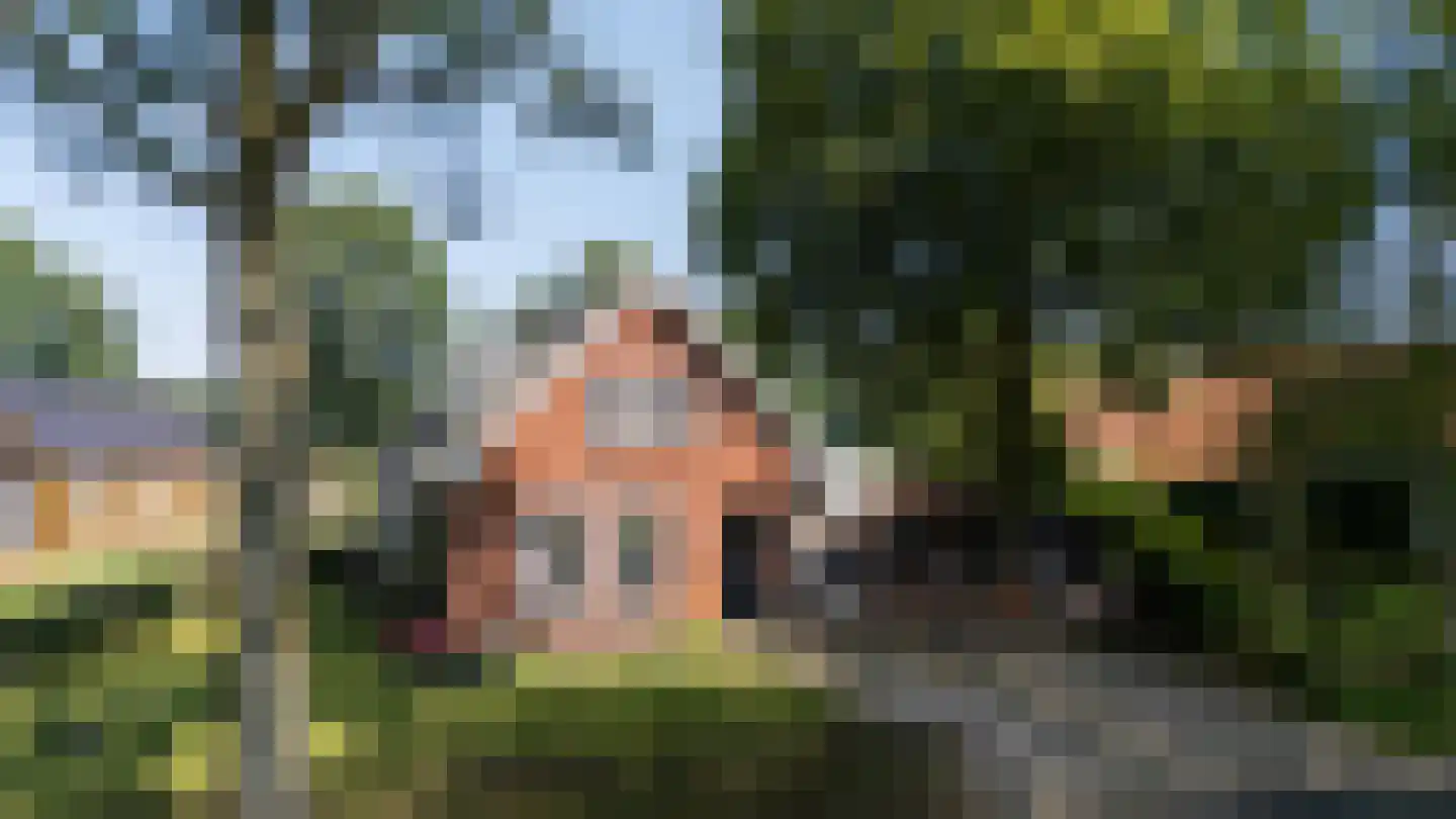 Onstwedderweg 68 Vlagtwedde thumbnail 4