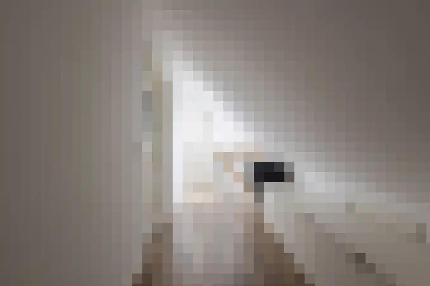 Onstwedderweg 68 Vlagtwedde thumbnail 43