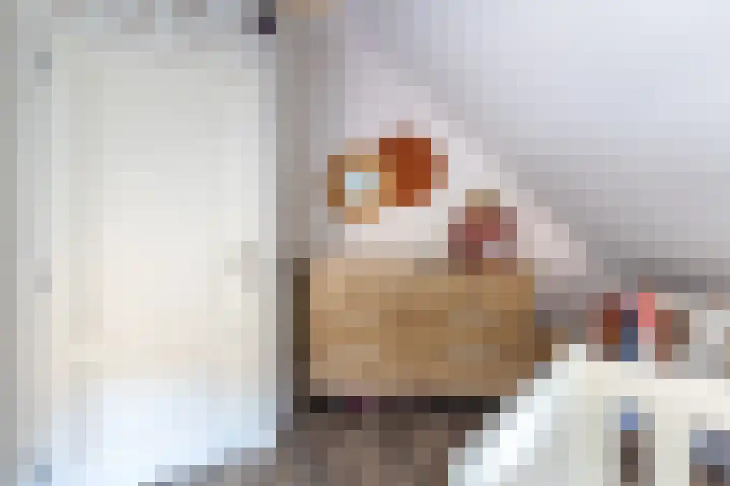 Onstwedderweg 68 Vlagtwedde thumbnail 45