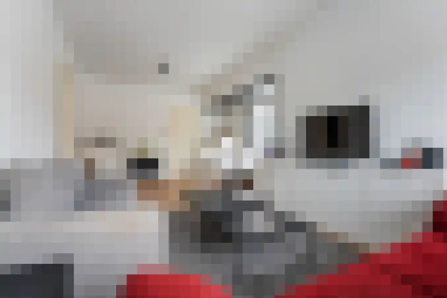 Onstwedderweg 79 Nieuwe Pekela thumbnail 10