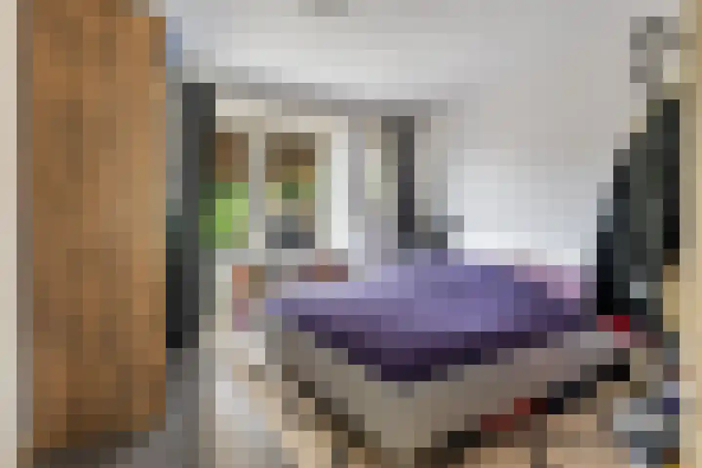 Onstwedderweg 79 Nieuwe Pekela thumbnail 12