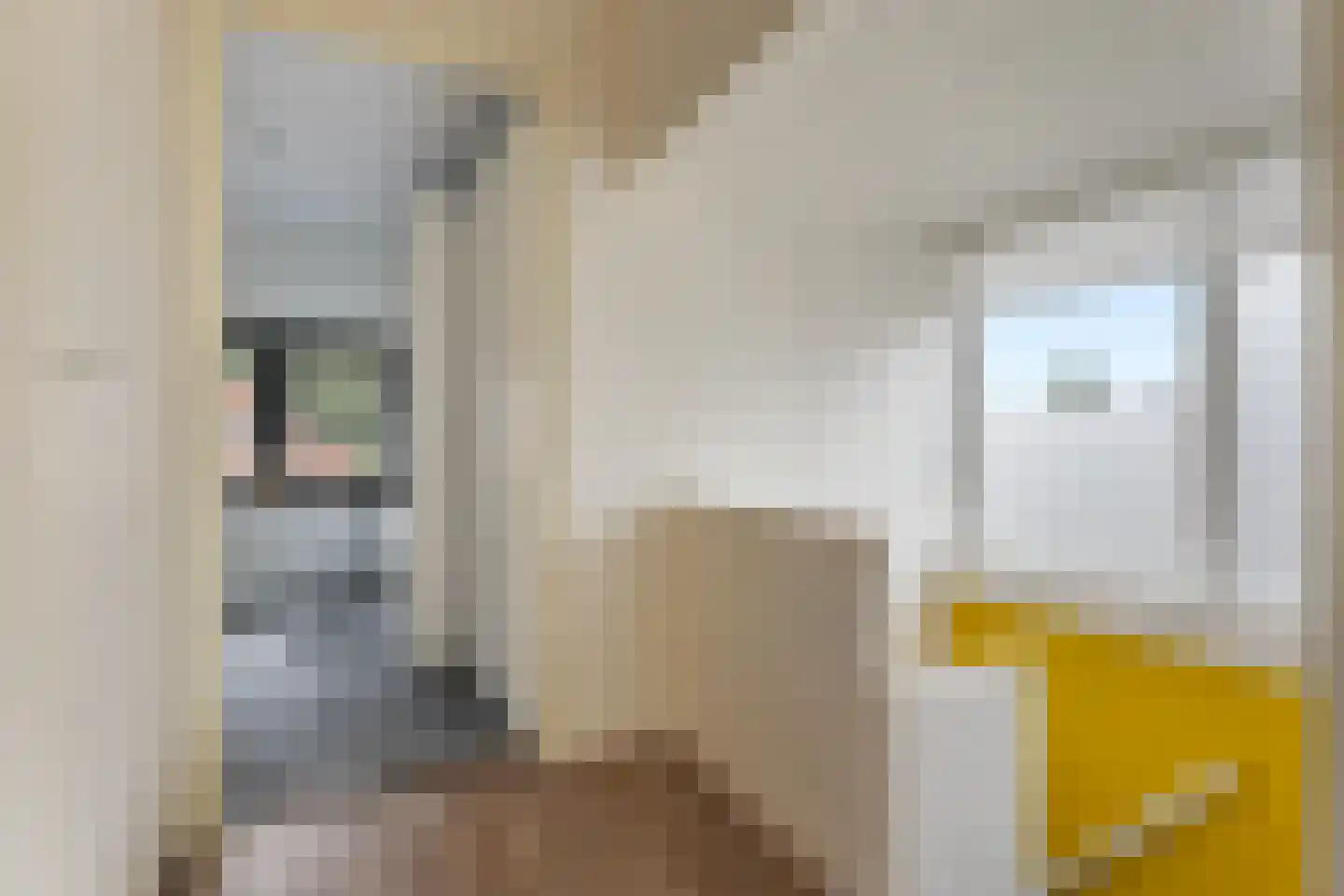 Onstwedderweg 79 Nieuwe Pekela thumbnail 21