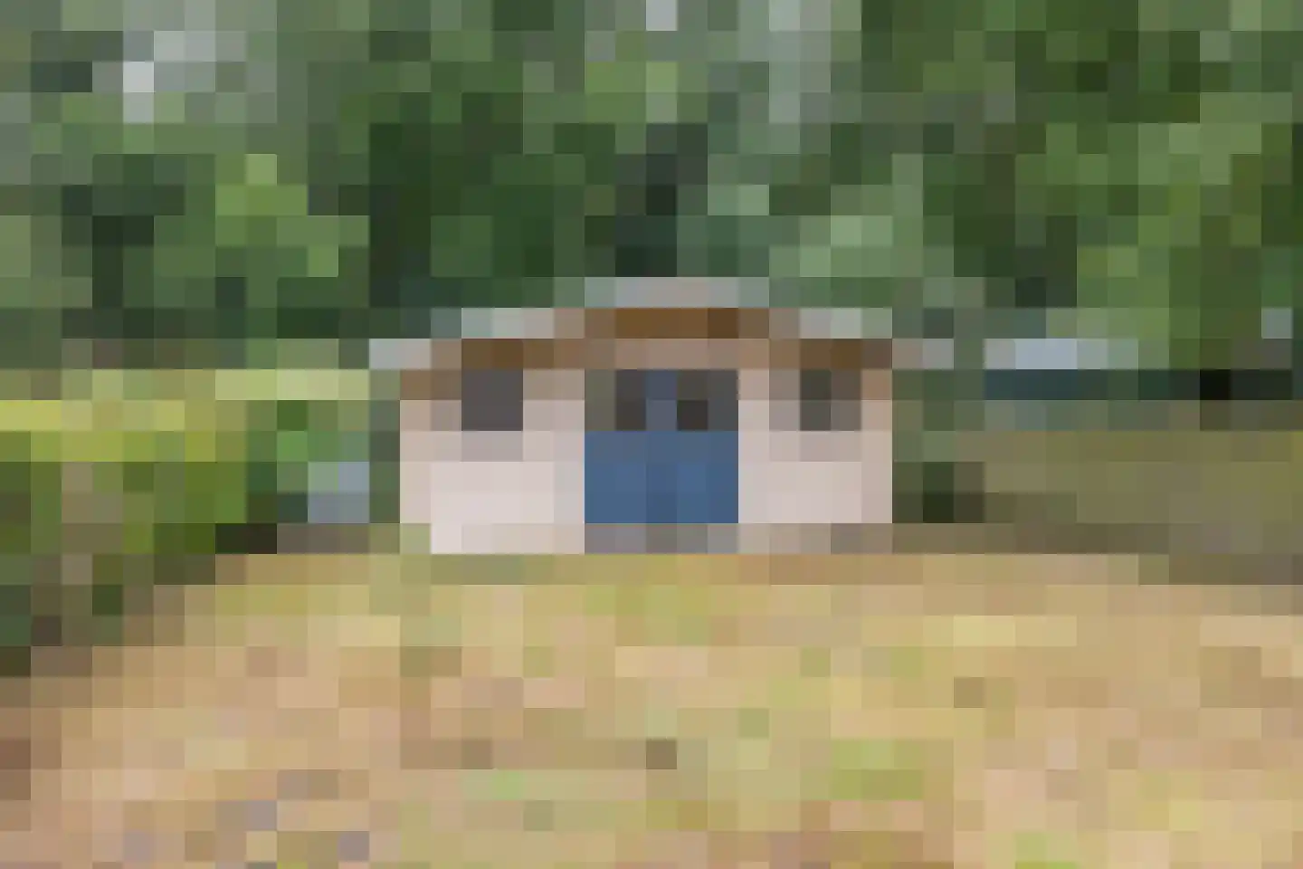 Onstwedderweg 79 Nieuwe Pekela thumbnail 29