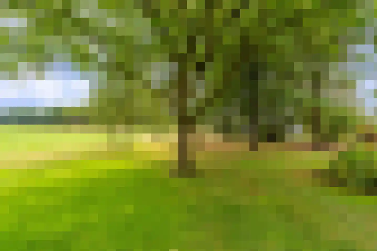 Onstwedderweg 86 Vlagtwedde thumbnail 10