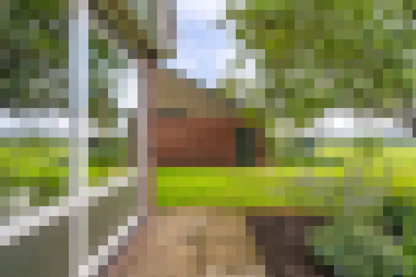 Onstwedderweg 86 Vlagtwedde thumbnail 14